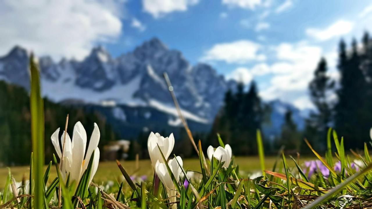Hotel Siera Hof Sappada Esterno foto